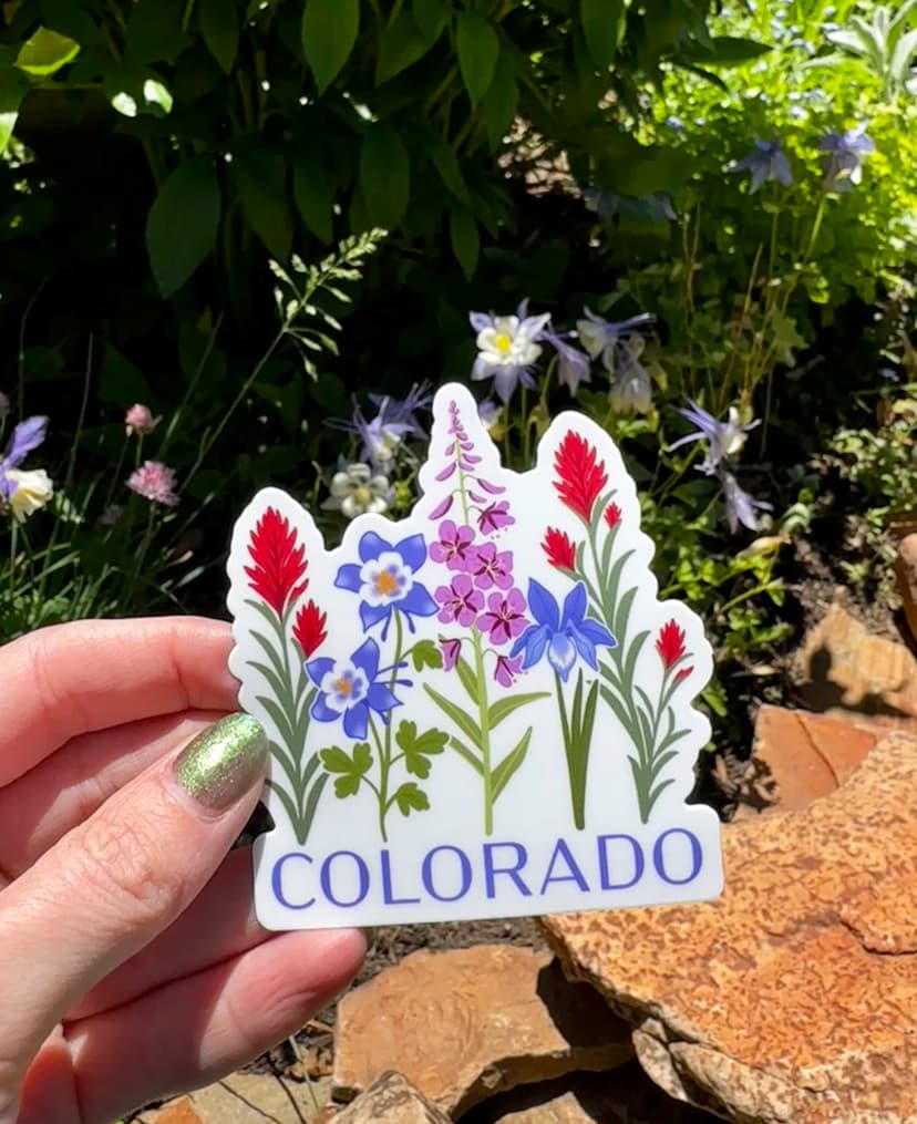 Colorado Sticker
