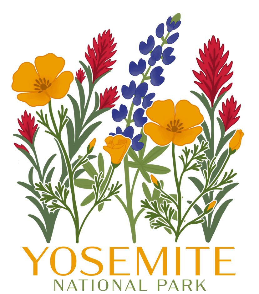 Yosemite Flowers